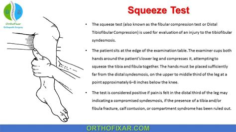 distal tibiofibular compression test|A Biomechanical Analysis of the Squeeze Test for Sprains of the .